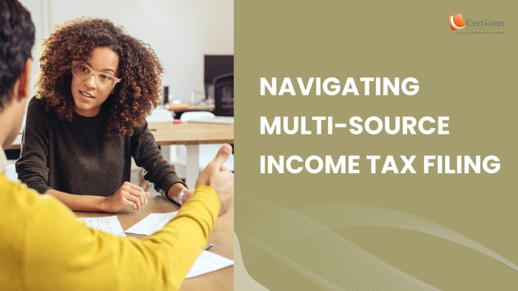 Multiple Income Sources